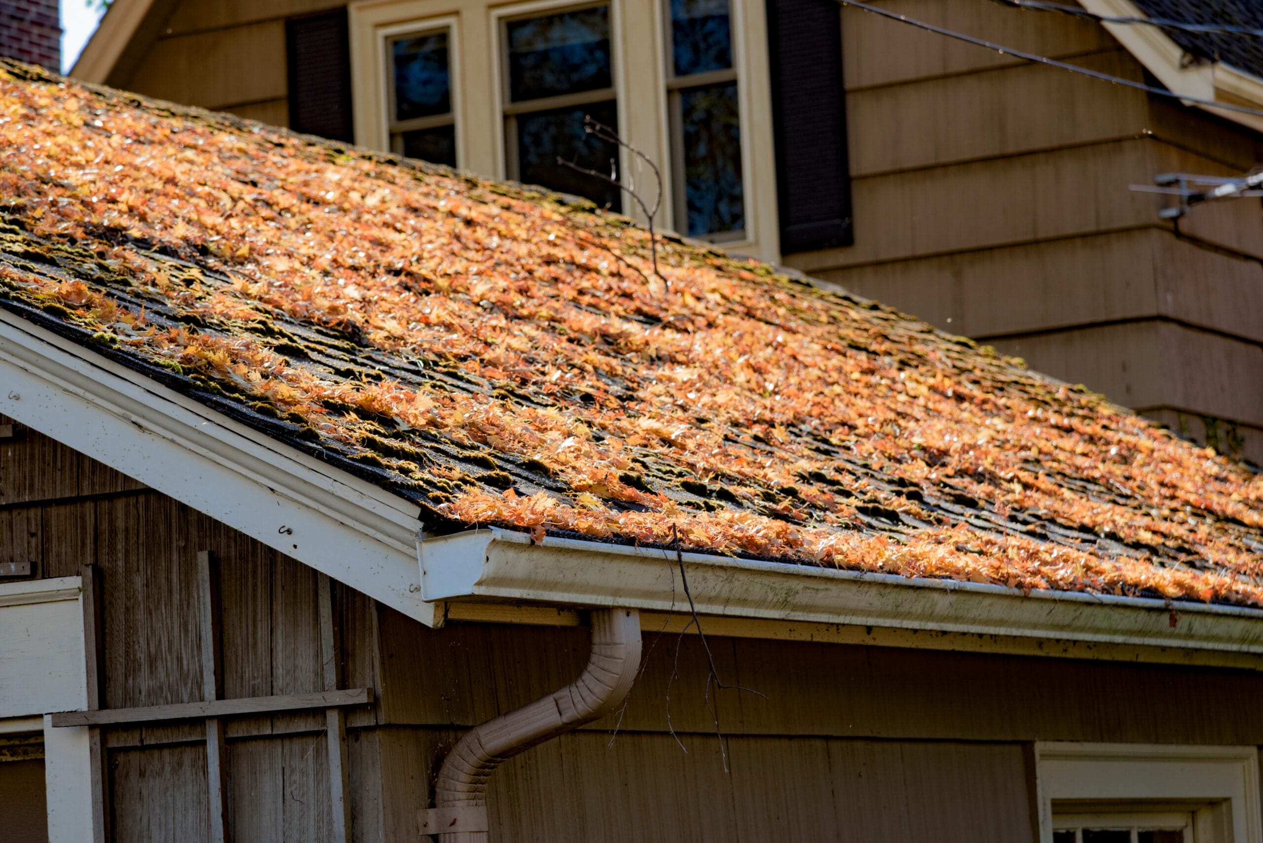 spring roof problems, spring roof damage, spring weather damage, Prescott Valley