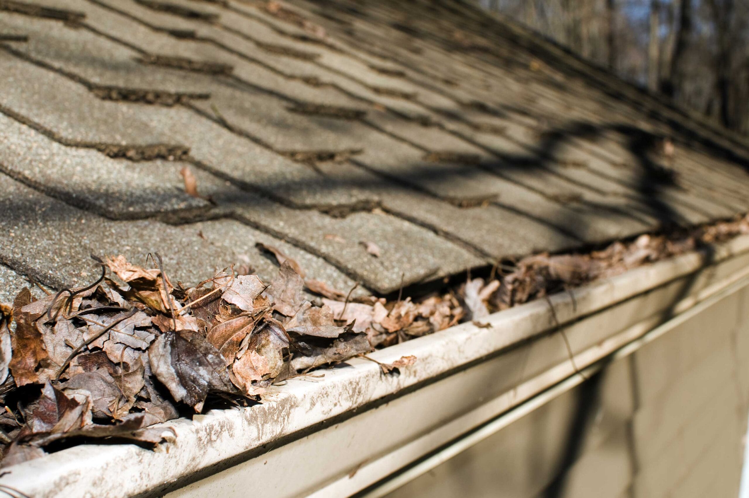 when to replace gutters, gutter damage signs, gutter replacement reasons