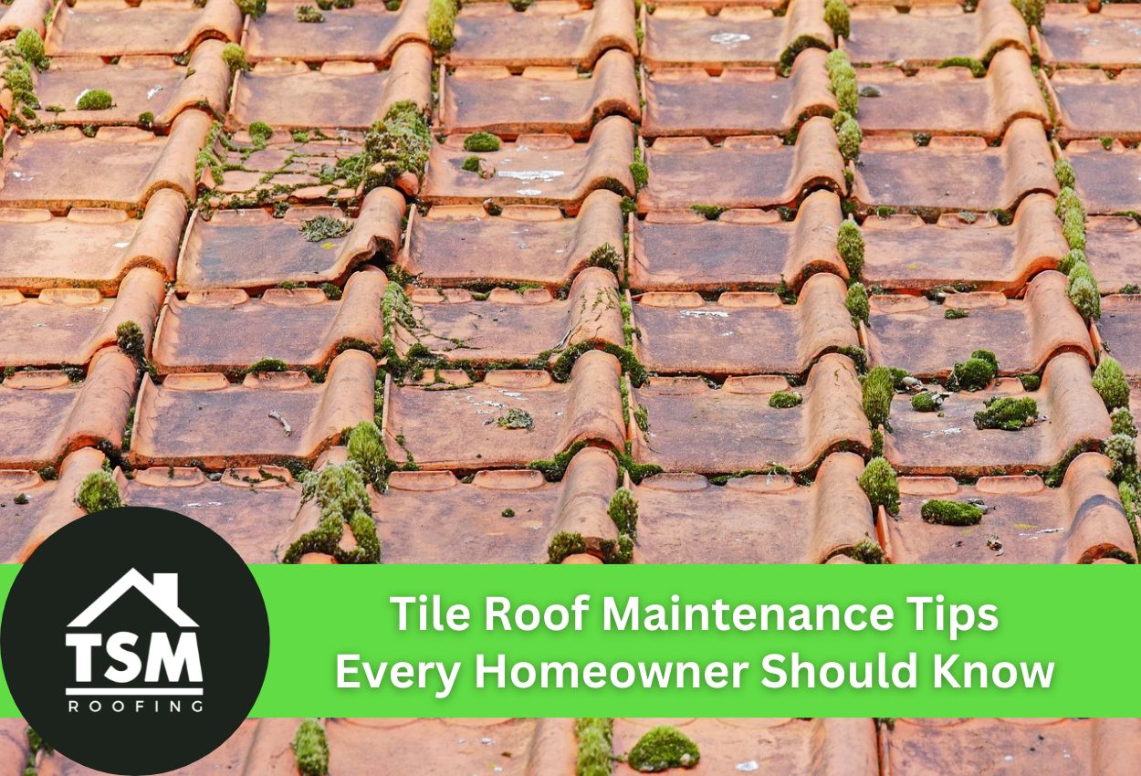 Close-up of a mossy tile roof illustrating maintenance needs.