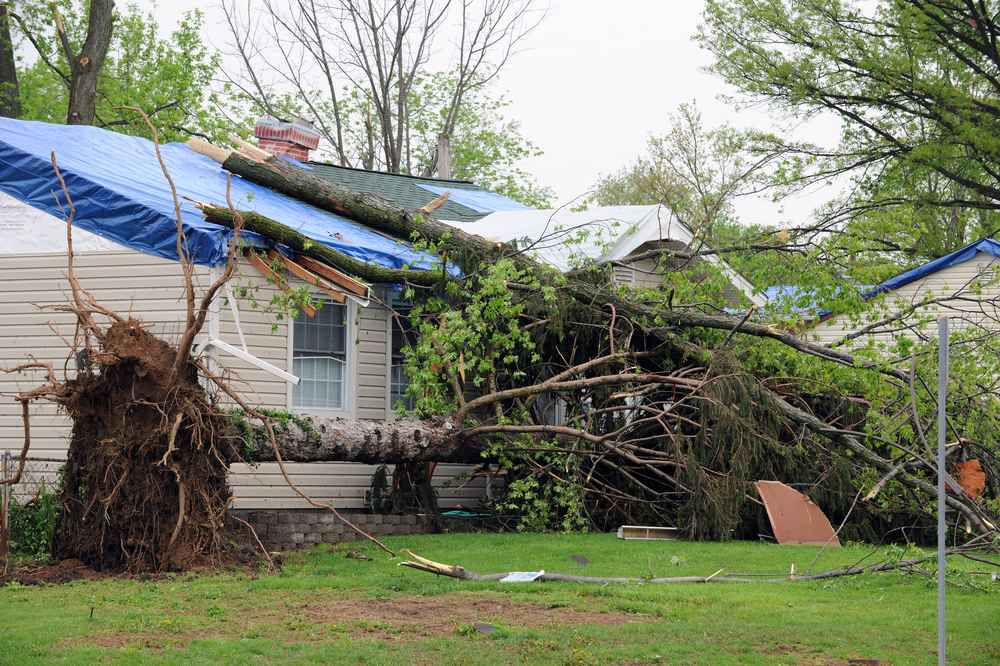 wind damage restoration in Phoenix